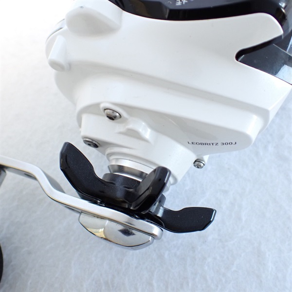 １２レオブリッツ３００Ｊ